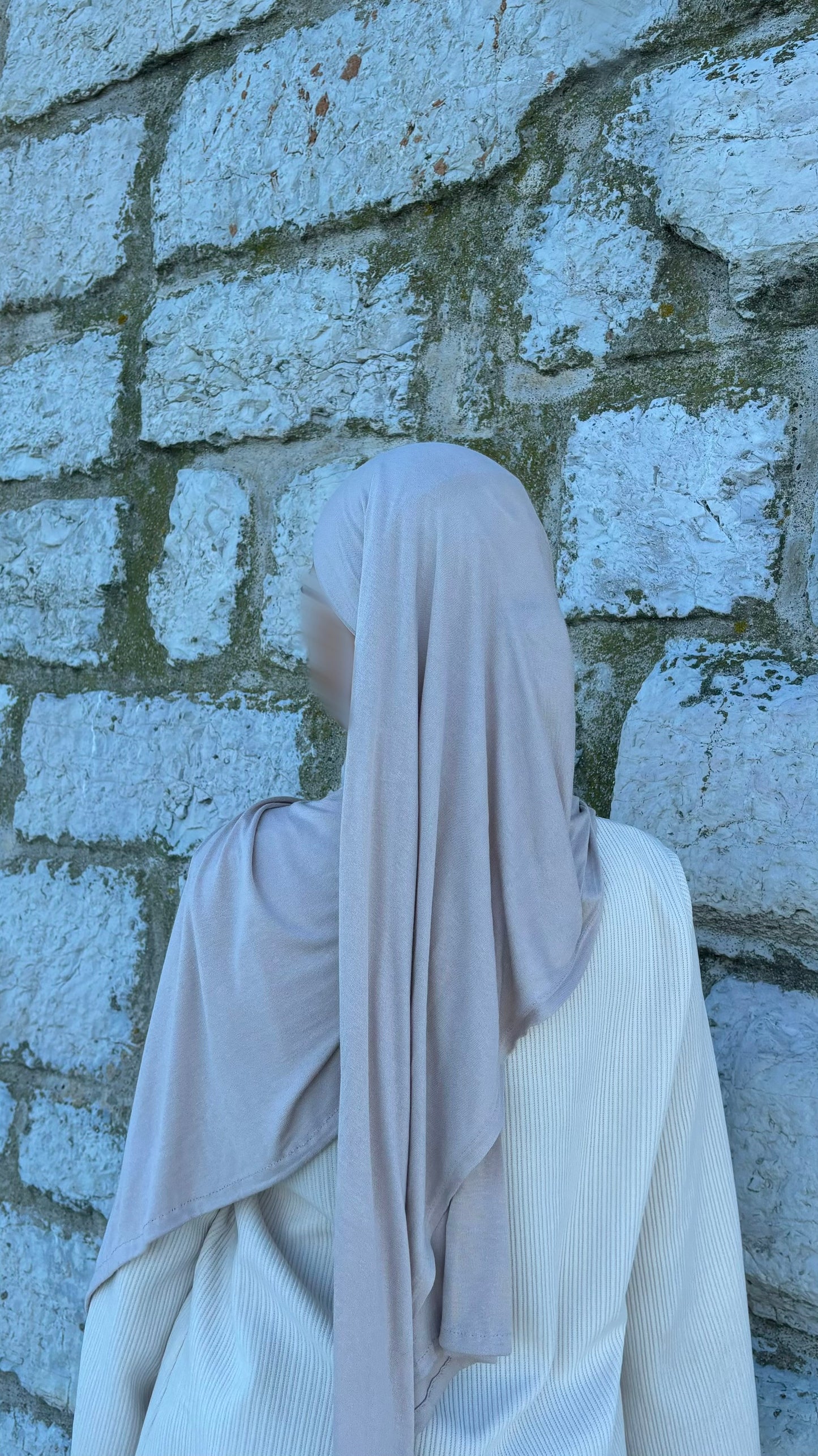 Jersey coton